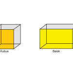 Roy Wood Jr. is leaving “The Daily Show” – CNN