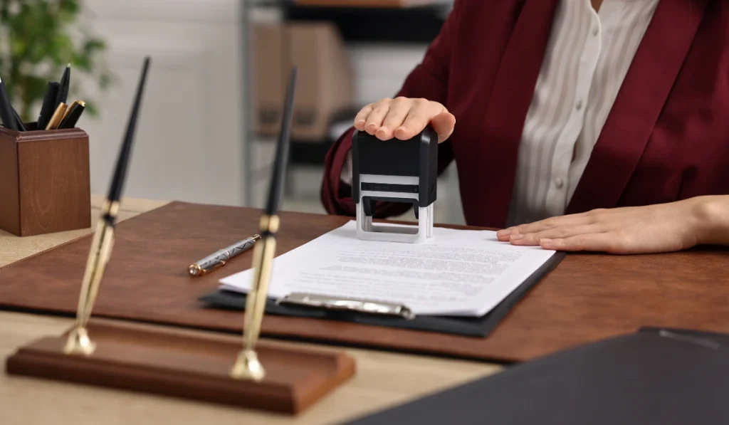 Burglary and a sip of beer: a monkey on the loose wreaks havoc – Le Journal de Montréal