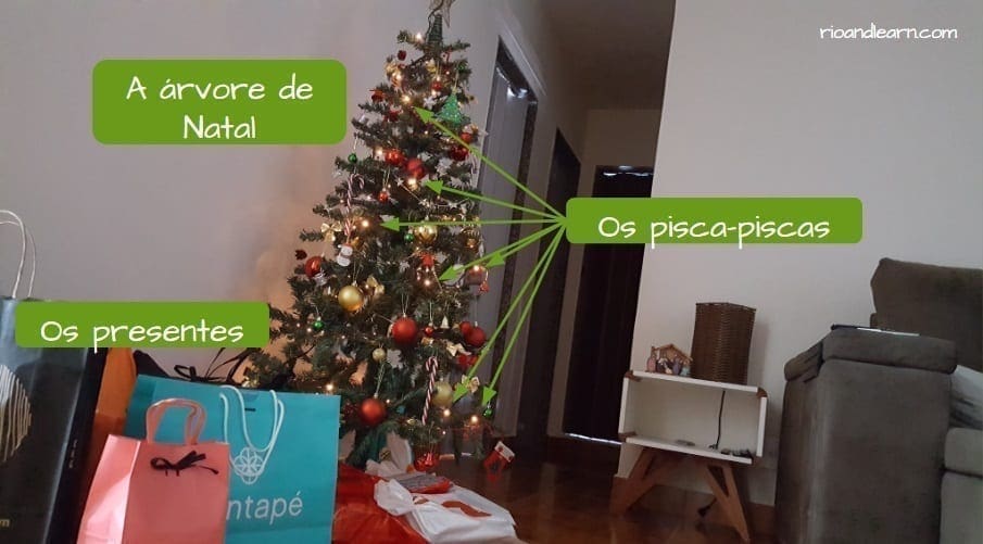 Midnight Dinner, Papai Noel & Summer Vibes