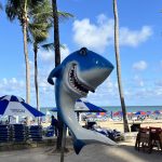 What Travelers Should Know Before Visiting