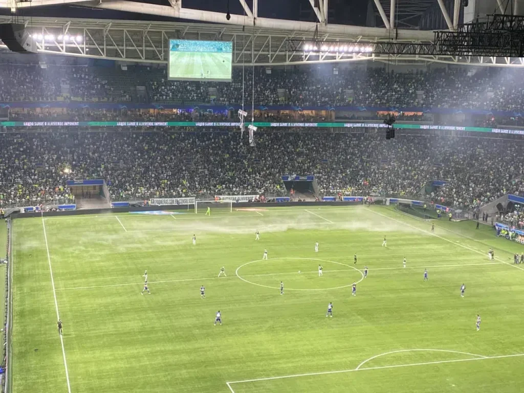 Palmeiras: History, Titles and São Paulo Football Culture